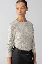 Load image into Gallery viewer, sequin pullover