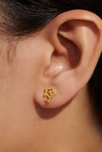 Load image into Gallery viewer, good luck earring