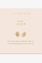 Load image into Gallery viewer, good luck earring