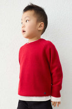 Load image into Gallery viewer, boys essential crew sweater