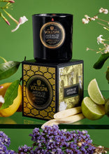 Load image into Gallery viewer, 9.5oz candle jardin
