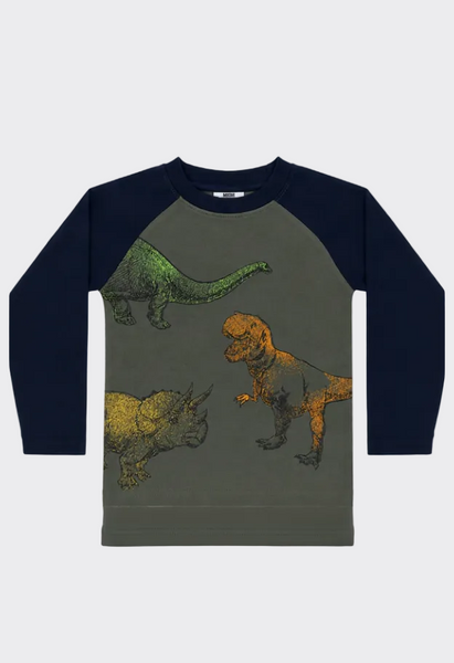 Kids Dino Raglan Jersey Tee