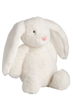 Load image into Gallery viewer, plush bunnie
