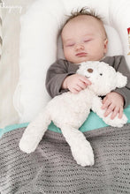 Load image into Gallery viewer, small putty bear
