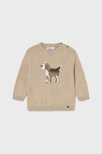 mini boy dog sweater