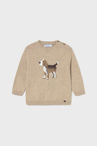mini boy dog sweater