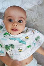 Load image into Gallery viewer, Florida burp and bib set

