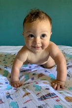 Load image into Gallery viewer, NJ muslin swaddle
