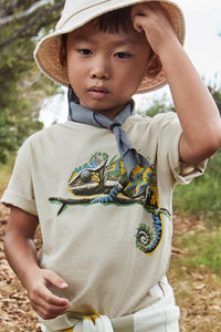boys iguana tee