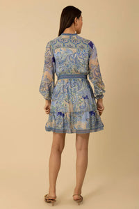 long sleeve v neck paisley dress