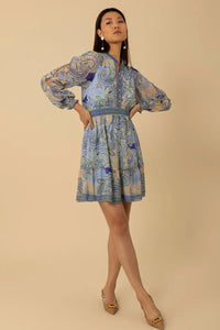 long sleeve v neck paisley dress