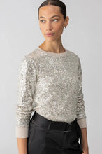 Load image into Gallery viewer, sequin pullover
