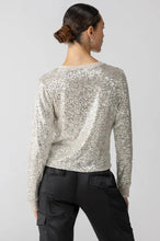 Load image into Gallery viewer, sequin pullover
