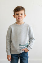 Load image into Gallery viewer, boys gator sweater
