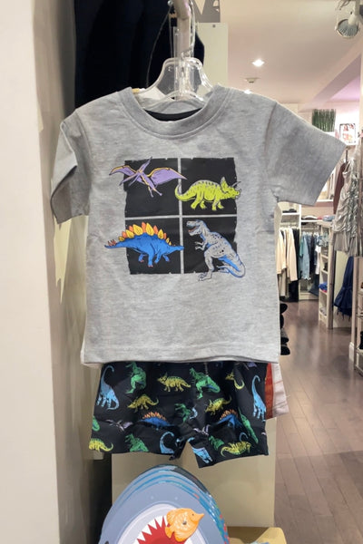 boys neon dino short sleeve tee