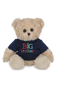 plush big brother bear