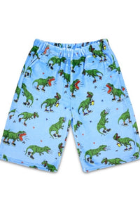 kids skating dino plush pant