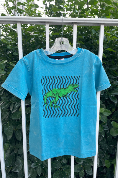 boys optic dino tee