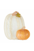 Load image into Gallery viewer, pumpkin chip + dip
