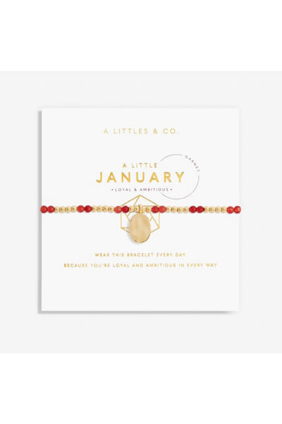 bracelet january