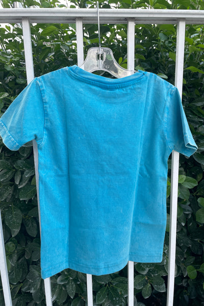 boys optic dino tee