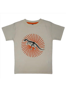 boys dino burst tee