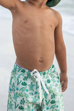 Load image into Gallery viewer, boys turtles swim trunk
