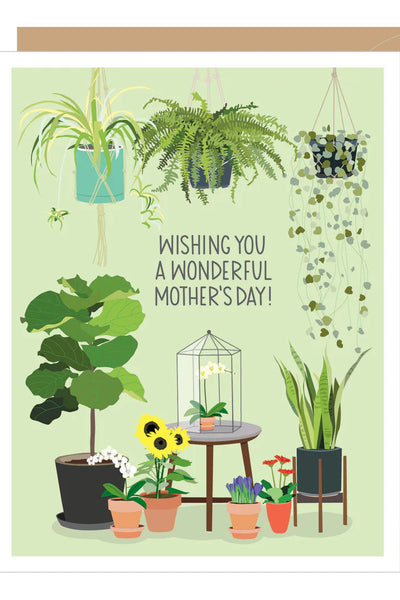 card plants mothers day