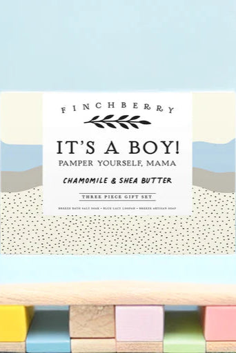 soap gift set - baby shower boy