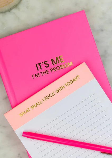 journal - i m the problem