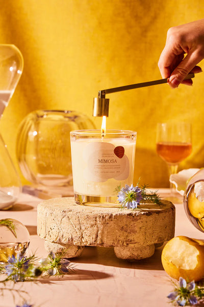 6oz candle mimosa