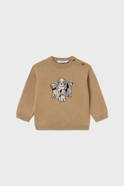 mini boy dogs sweater
