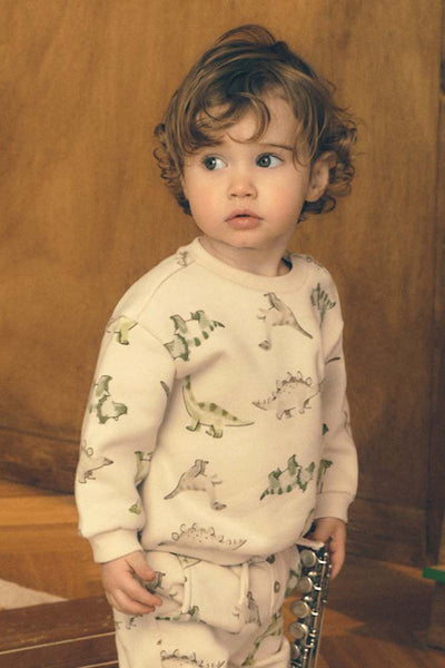 mini boy dino sweatshiirt