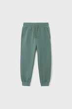 Load image into Gallery viewer, boys fleece jogger
