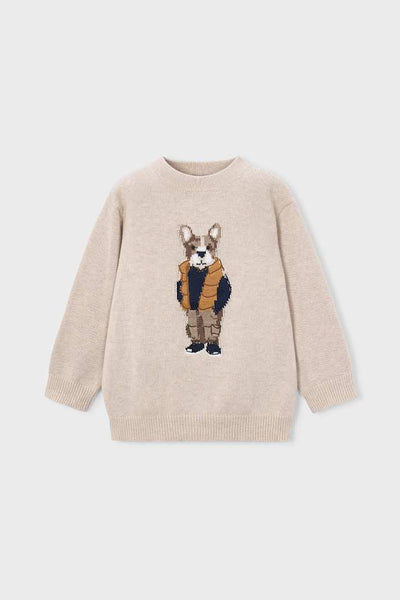 boys dog sweater
