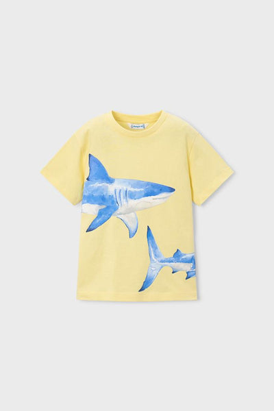 boys shark tee