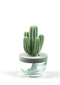 diffuser - cactus saguaro