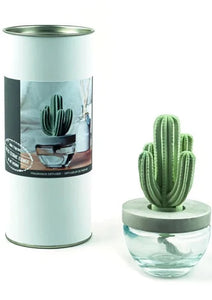 cactus diffuser