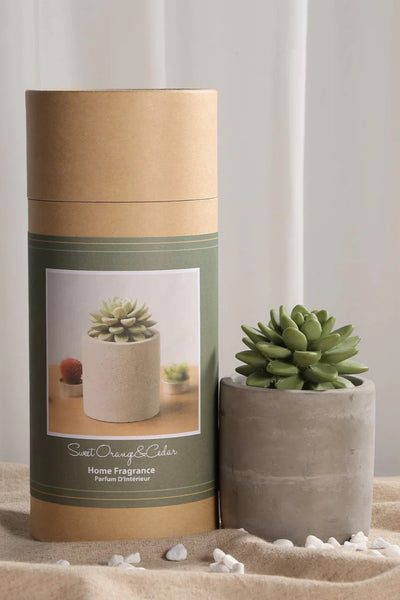 diffuser - succulent-citrus