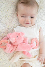 Load image into Gallery viewer, teether penny pig
