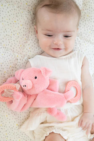 teether penny pig