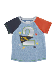 boy 2 birthday tee