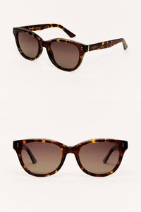 shoreline sunglasses