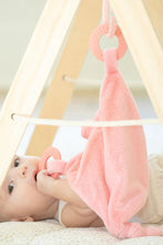 Load image into Gallery viewer, teether penny pig
