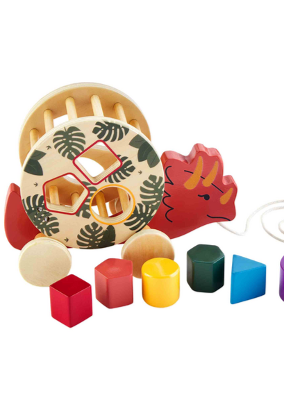 wood dino shape sorter