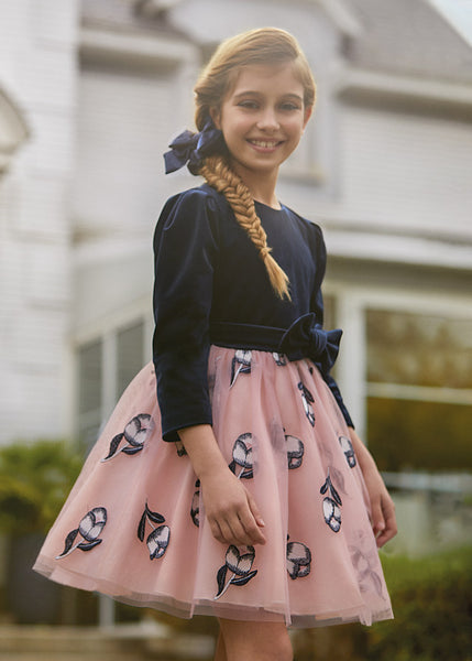 girls embroidered tulle & velvet dress