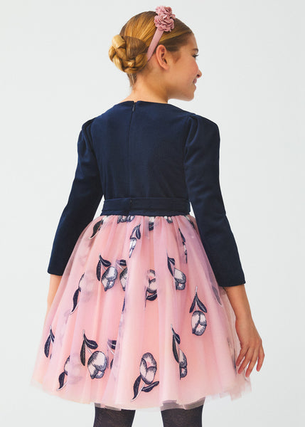 girls embroidered tulle & velvet dress