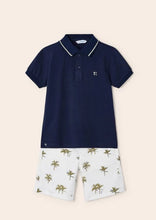 Load image into Gallery viewer, boys polo and palm print short set
