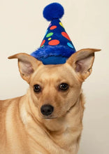 Load image into Gallery viewer, plush dog toy - party hat
