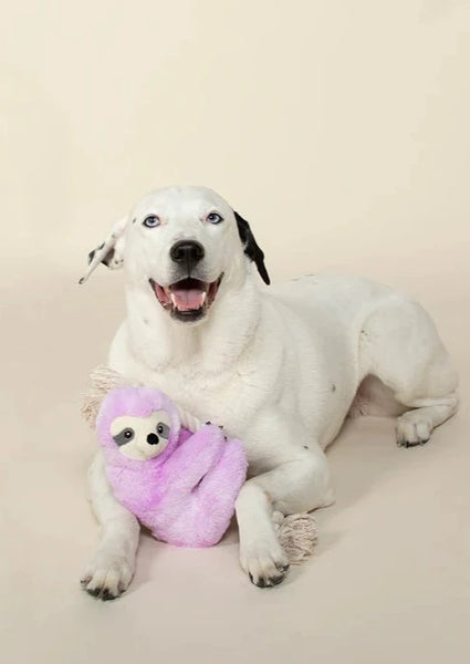 plush dog toy - sloth rope